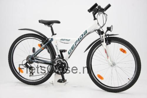 Gepida Berig 300 specificaties